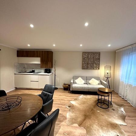 Stadtvilla Apartments Ferienwohnungen Weinsberg Εξωτερικό φωτογραφία